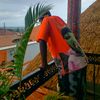 tumulee.256