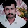 zulfqar.ahmad615