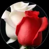 user6304107733351