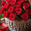 amna.masood56