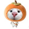 popoi_00_1