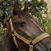 mouhamed.iyad06