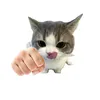 jqaiwwq