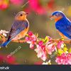 md.rubel.mia1087