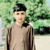 tanveertarar62