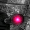 dinislam.hasan1