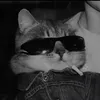 nikola.antic24