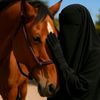 hanadi7470