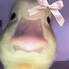 ritadesysimo