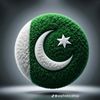 saqibbalochsaqibbaloch1