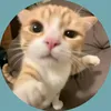 i_am_on_tiktok00