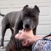 thebullyavenger3