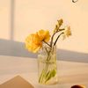 laghari__02