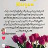 sbara46