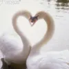 mssiveattack
