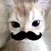 bryanribaszx