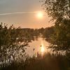 roha_hasan04
