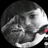 serhat5595