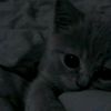 user2169063198387