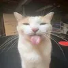 snlckersnicker