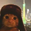 _0coolcat0_