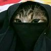 نور ساره🇵🇸