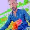 user4737613381433