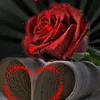 anna.religa8