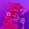 reem.reem0857