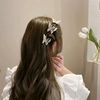 user39186806512512