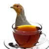 kurapatkovaitea
