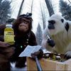 bigfootmarriedvlogs
