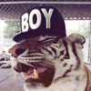 rax_gd1