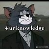 ahmedabdulbasit7264