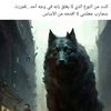user3428236158137