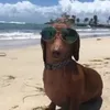wizzyyyc