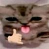 dontfuckingcare00