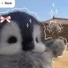 viiibezs