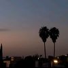 alber__sol