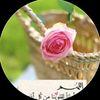 user503216626