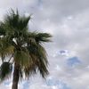 abo.kha1