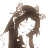 visaru.inosaru_dudih2