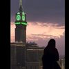 shadia.ahmed49