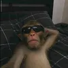khu.py