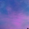 dreamertheskies