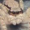 alan_account2