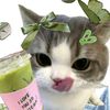 silmiww7