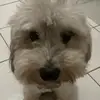 mynameisnot.fiveweenies
