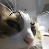 daveyg975