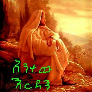 bereketbekele881